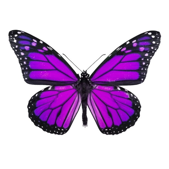 Meet your Posher, Sàlly - Picture 1 of 1